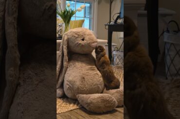 Unboxing my baby’s GIANT rabbit jellycat