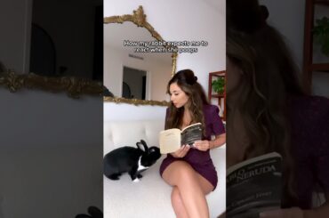 How my rabbit expects me to react when she poops