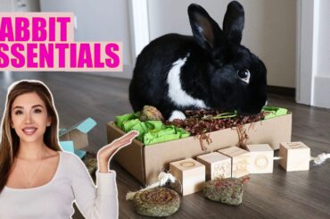 EVERYTHING YOU NEED FOR A RABBIT | The Complete Starter Pack