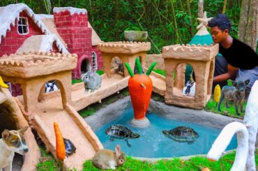 Build Dog House Rabbit House Turtle Pond For Rescue Dog Rescue Rabbit Rescue Turtle