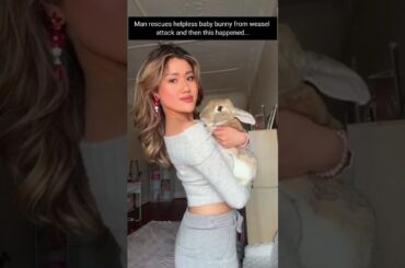Man rescues helpless baby bunny #animals #lovestory #wildliferescue #cute #bunny #rescue #love