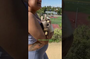 Couple Finds An Abandoned Bunny On Their Walk | The Dodo