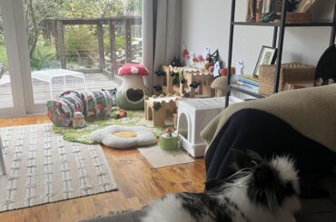 Everyone else “ Aww his house is so cute!”