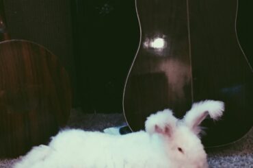 I miss Bun today