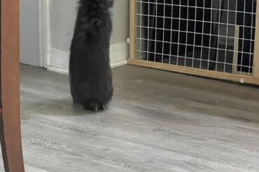 Excuse me, ma’am? I can not get to the chair now.