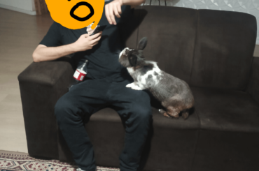 His dad stopped petting for 0,01 sec. and somebody are not happy