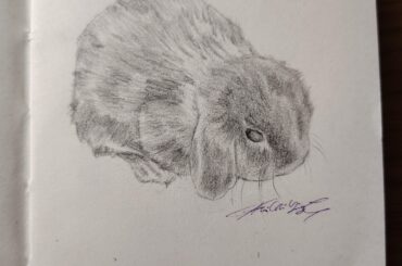 he is very drawable