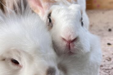 Photobombed.