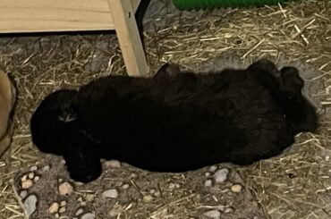 he looks so dead