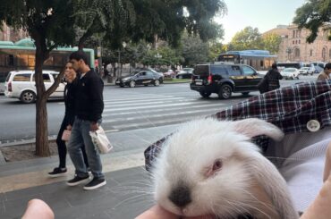 The first walk in the first two months of his life