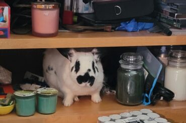 Just act natural..