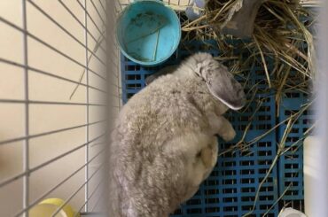 Whenever i catch little baby sleeping sideways its like emotional cuteness overdose