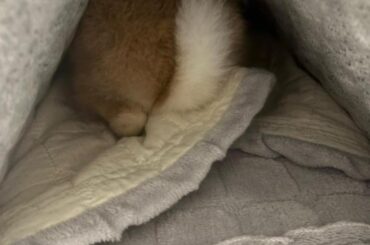 Shh he sleep
