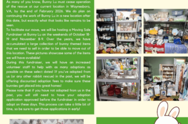 Rabbit Rescue needs donations