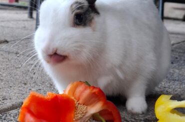 Oh yeah, gimme some more of that tasty stuff!