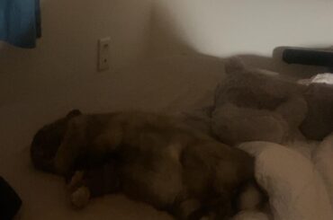 Big sleep with mom 🐰♥️