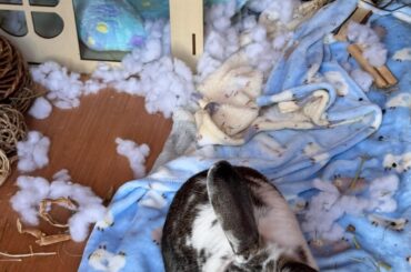 he was very proud of his mess <3