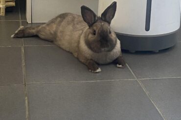 My love baby 🐰♥️