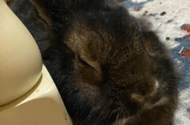 Caught sleeping on the job