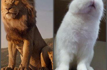Close enough