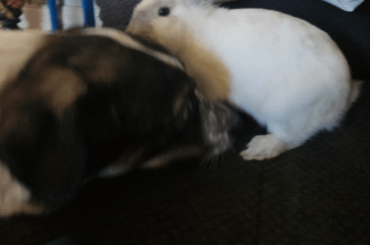 Friends