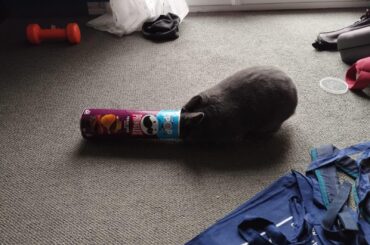 She's trying, she's trying...