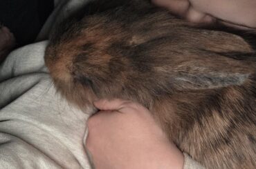 When i say Moo sends face snuggles, this is what I mean 🥹🩷