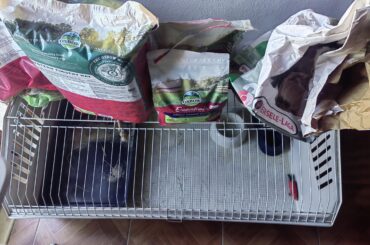 New bunny.toilet train