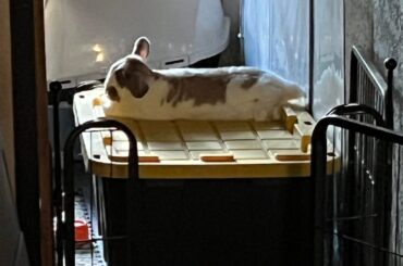 New favorite spot