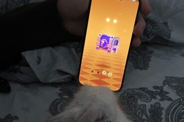 My little one loves watching me playing games on my phone
