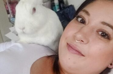 A tribute to Ears' life. May you rest in peace babygirl 🌈❤️