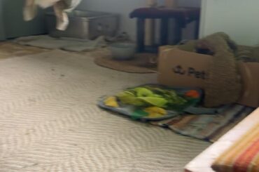Some solid air time