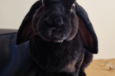I didn't give him a Shreddie.