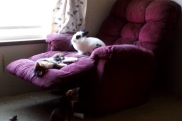 Playing with my babies