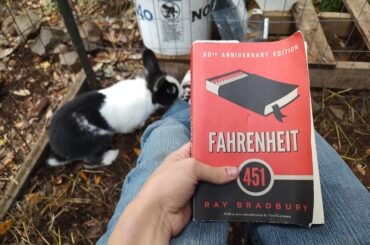 WARNING! do NOT read Farrenheit 451 to your rabbit!!!