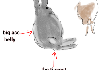 I love seeing pictures of rabbits that are like this
