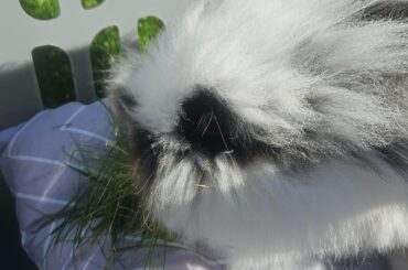 Warm day!