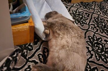 my sleepy baby boy