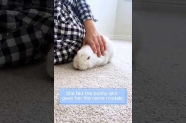 Bunny got saved