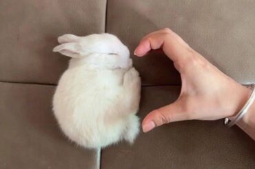 𝚢𝚘𝚞𝚛𝚏𝚊𝚟𝚟𝚒𝚜𝚒𝚘𝚗𝚋𝚘𝚊𝚛𝚍 🎀