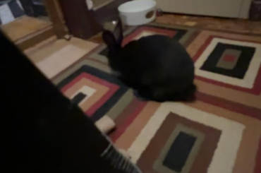 He was so happy when I got home from work.