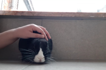 Why did you stop?