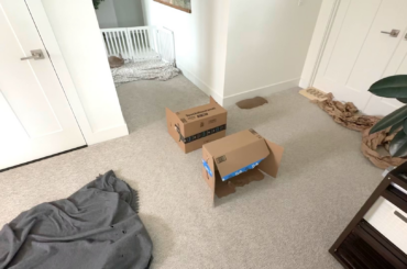 It’s not trash; it’s a bunny obstacle course.