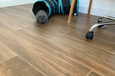 Slo-mo hop
