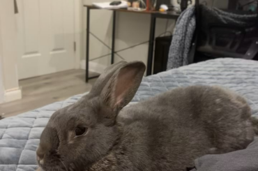 I got blessed with the chillest bun ever