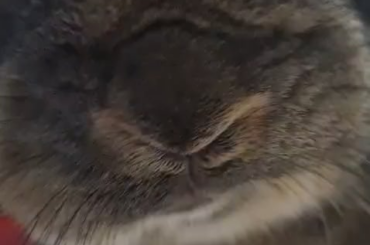 LECA maybe causing skin tightness?