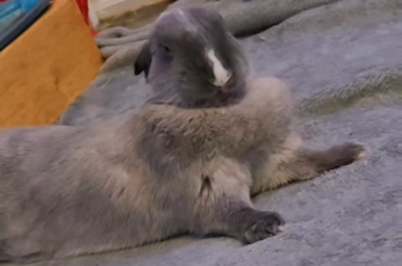I did this trend with my baby boy cloudy
