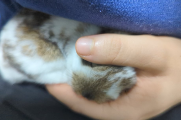 One of my fosters