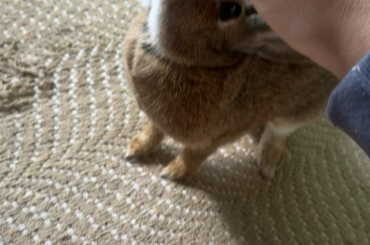 This is our morning routine