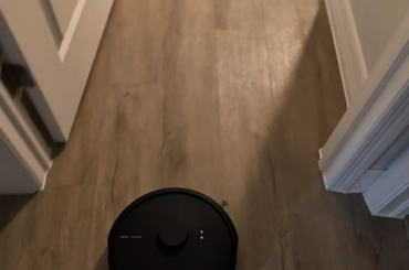 Bun Meets Bot